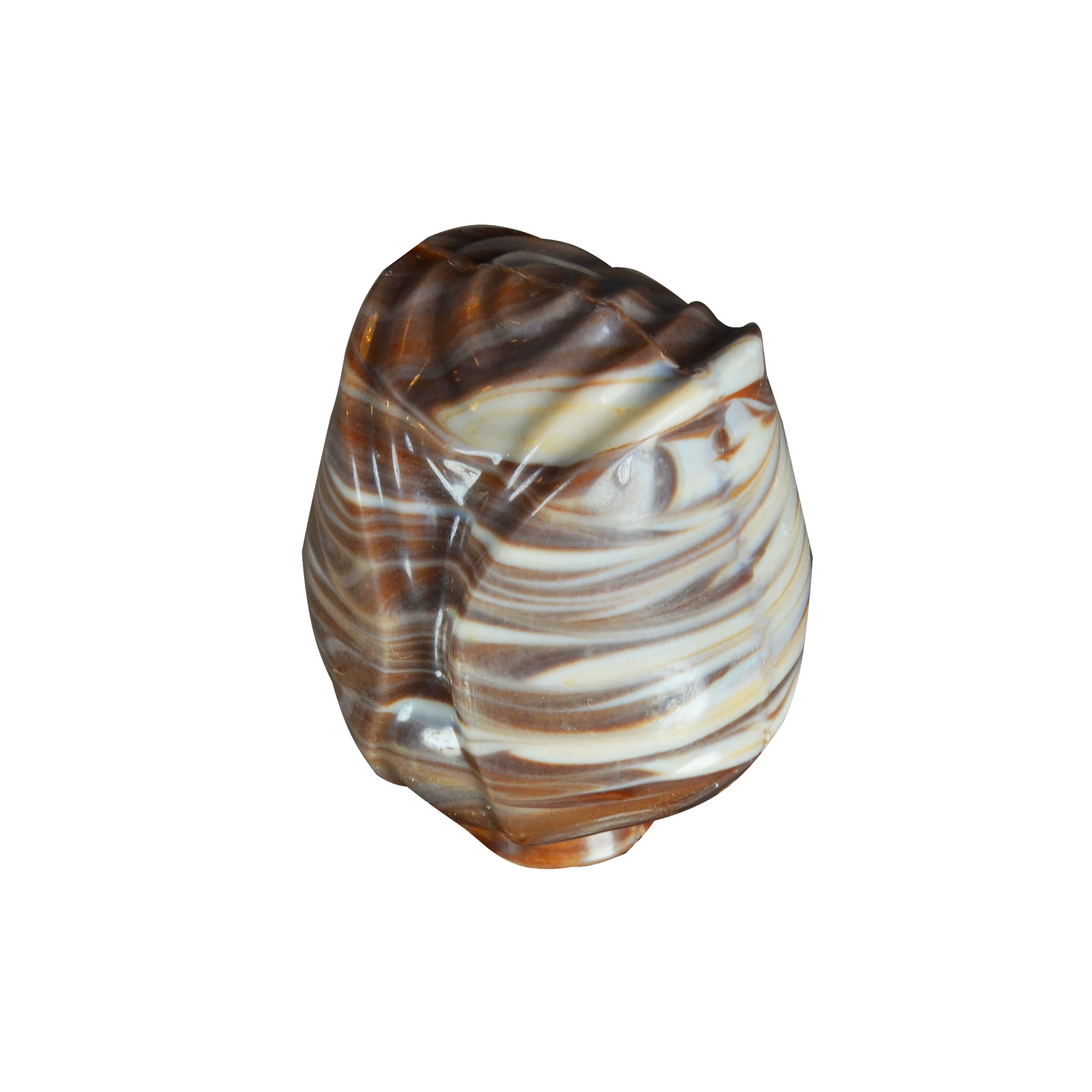 Mixed chocolate rose
