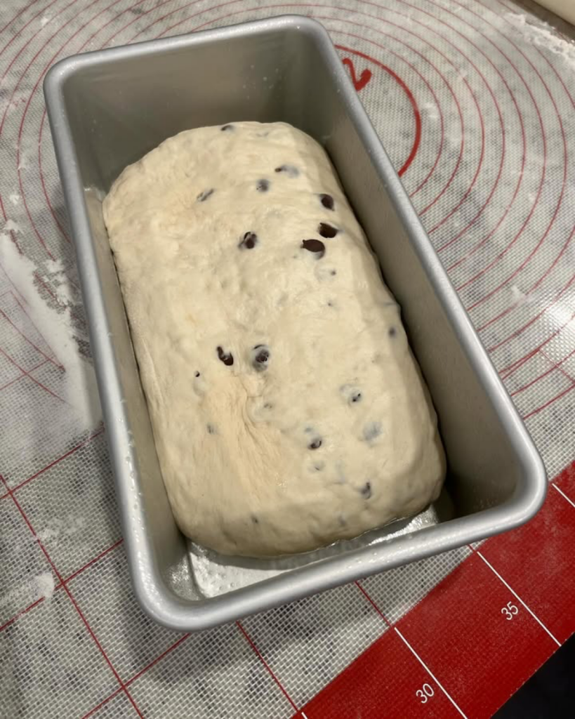 Chocolate Sourdough in a Fat Daddio's loaf pan
