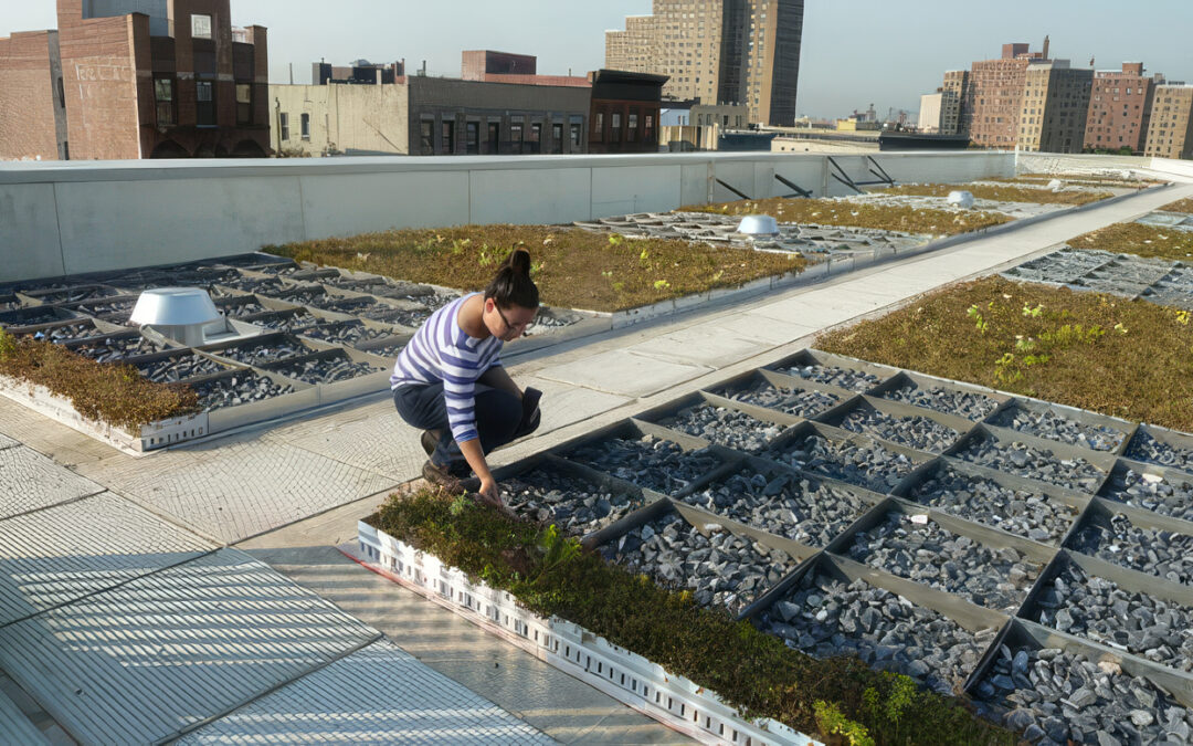 Fat Daddio’s Reduces New York City Rain Runoff With Custom Aluminum Solution